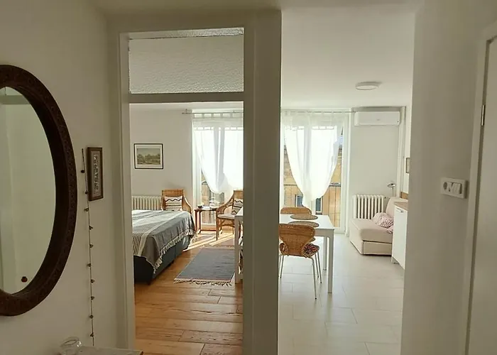 公寓 Cozy At Prime Location Above Ferhadija Street 塞拉耶佛