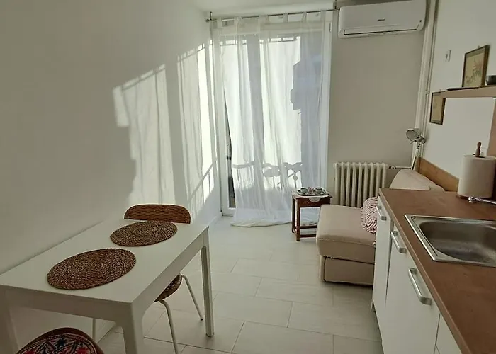 Cozy At Prime Location Above Ferhadija Street 公寓 塞拉耶佛