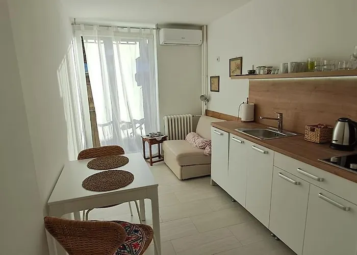 公寓 Cozy At Prime Location Above Ferhadija Street 塞拉耶佛