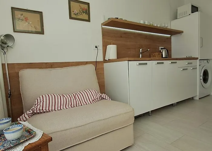 Cozy At Prime Location Above Ferhadija Street 公寓 塞拉耶佛